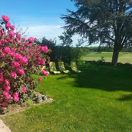 Gite Belle Fleur 6 Personnes- Vosges Saint-Nabord Dış mekan fotoğraf