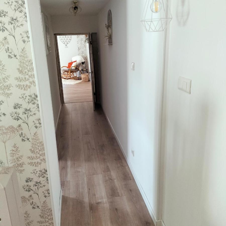 Gite Belle Fleur 6 Personnes- Vosges Saint-Nabord Dış mekan fotoğraf