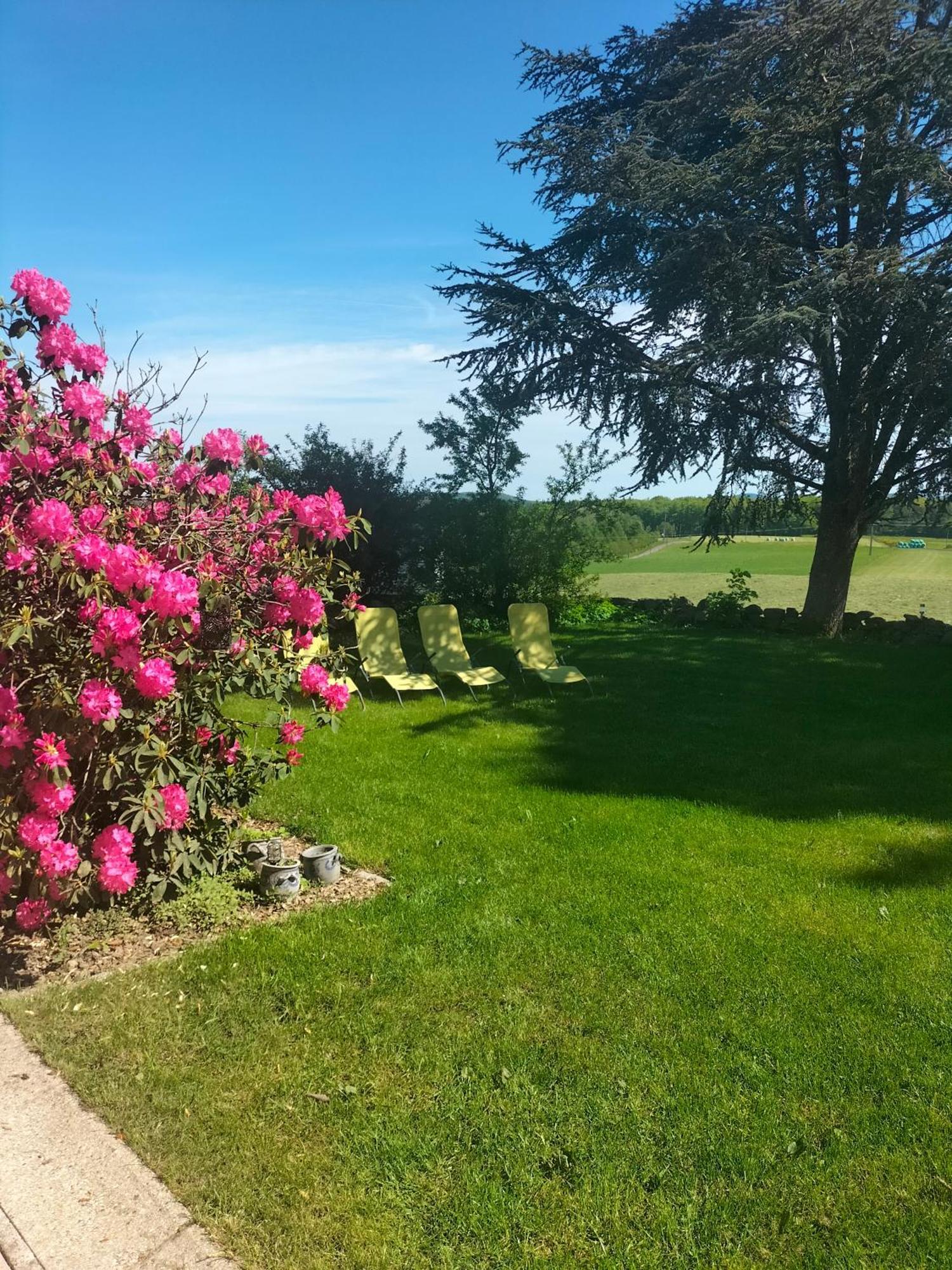 Gite Belle Fleur 6 Personnes- Vosges Saint-Nabord Dış mekan fotoğraf
